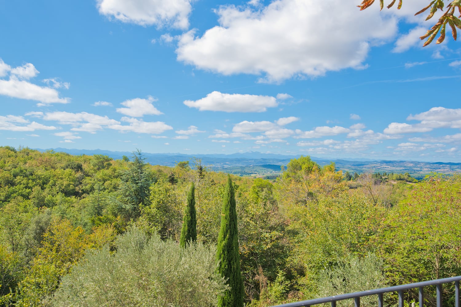 Views of the Pyrénées from Domaine de Nérige